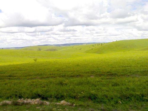 草原图片大全大图,大图全景下的自然画卷