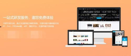 搭建视频网站,揭秘视频网站搭建全攻略