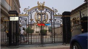 铁艺门图片大全
