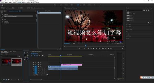 短视频怎么加字幕,轻松打造带字视频，提升内容互动性
