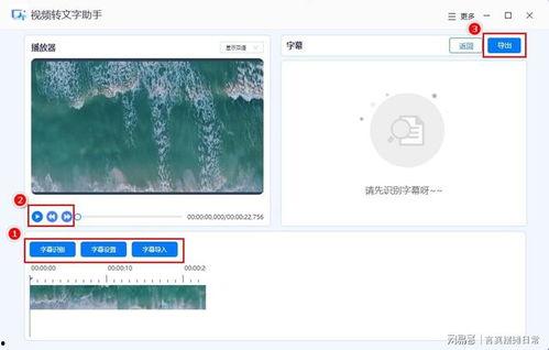 短视频怎么加字幕,轻松打造带字视频，提升内容互动性