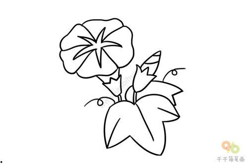 花朵简笔画图片大全,描绘自然之美的一笔一划