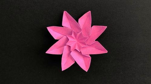 折纸花的视频,轻松折出美丽折纸花