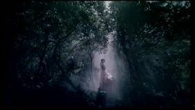 感恩励志视频,视频中的力量与启示