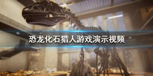 恐龙化石的视频,恐龙化石的神秘世界揭秘
