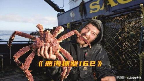 帝王蟹捕捞视频,海洋捕捞的震撼瞬间