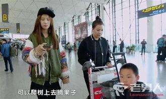 刘思琦视频,揭秘她的成长历程与艺术魅力