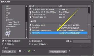 视频输出格式,揭秘视频输出格式的创新与变革