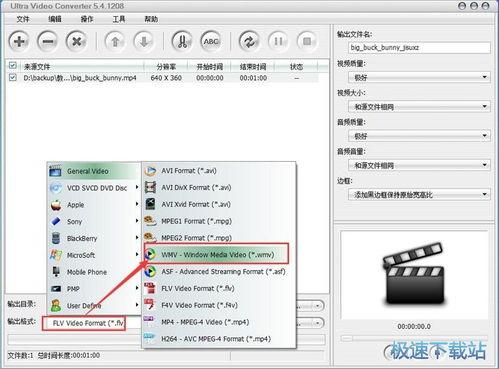 视频输出格式,揭秘视频输出格式的创新与变革