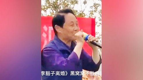 李豁子离婚视频,揭秘婚姻破裂背后的真相