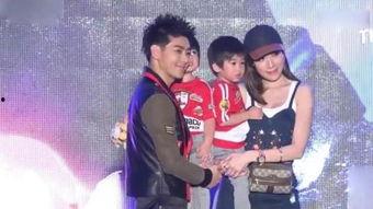 陈若仪视频,揭秘明星家庭生活点滴