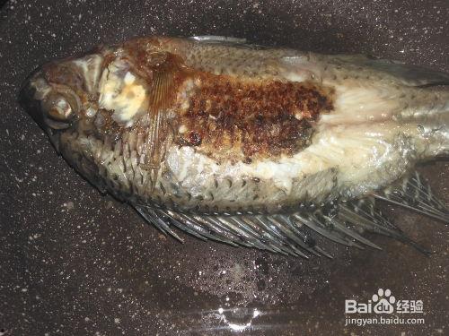 罗非鱼的做法视频,视频详解美味佳肴制作过程