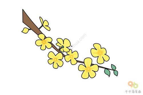 迎春花图片大全大图,春意盎然的美丽瞬间