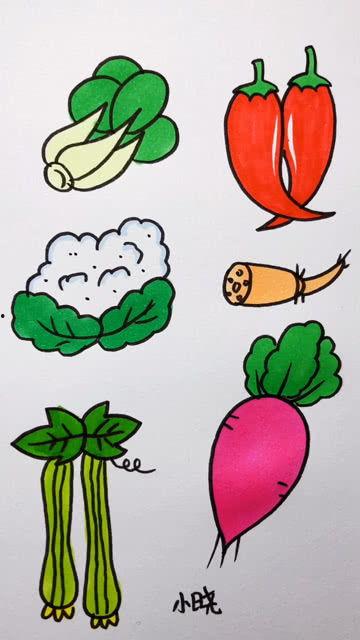 蔬菜简笔画图片大全,趣味盎然的植物世界速写集