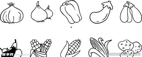 蔬菜简笔画图片大全,趣味盎然的植物世界速写集