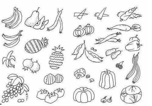 蔬菜简笔画图片大全,趣味盎然的植物世界速写集