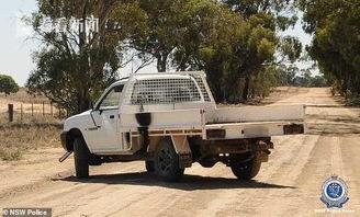 铲土车视频,铲土车作业现场精彩瞬间回顾