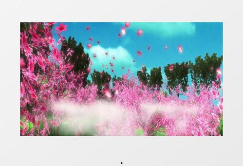 落花视频,落花视频中的诗意瞬间