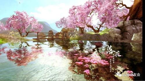 落花视频,落花视频中的诗意瞬间