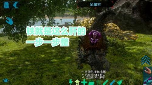 方舟进化视频,探索生命起源与物种演变的奇幻旅程