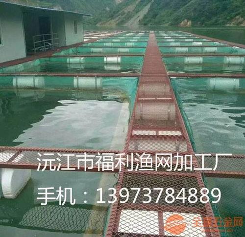 网箱养鱼视频,视频带你走进高效养殖世界