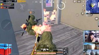 杀鸡的视频大全,惊心动魄！杀鸡视频大全大揭秘