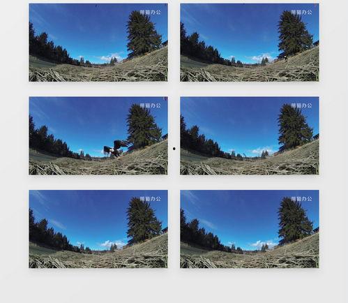 蓝天雄鹰展翅图片大全,壮美瞬间捕捉自然之魂