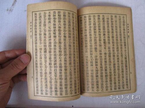 无量寿经视频,揭示极乐世界奥秘与修行智慧