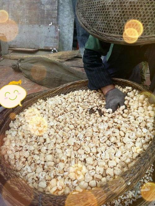 老式爆米花视频,老式爆米花制作过程回顾