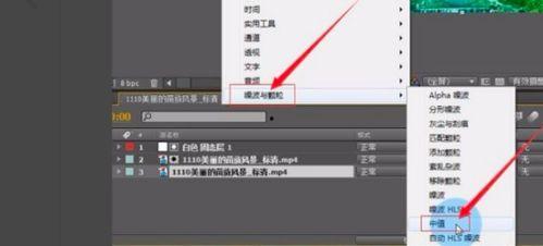 视频怎么p字,轻松掌握P字特效制作技巧