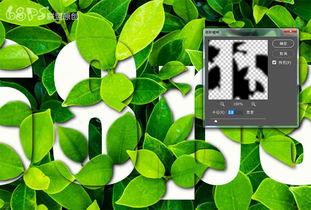 叶子带字图片大全,自然之美与文字奥秘的完美融合
