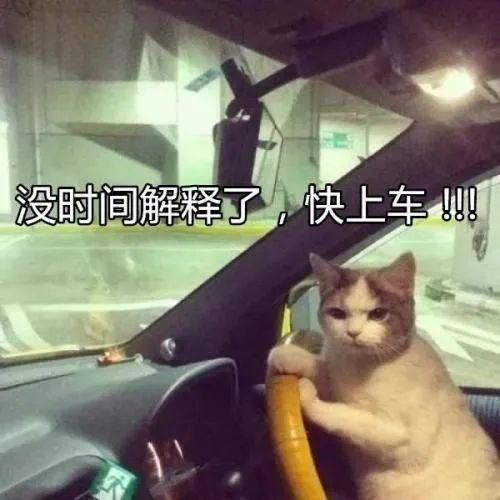 老司机视频在线观看,揭秘驾驶技巧与安全驾驶之道