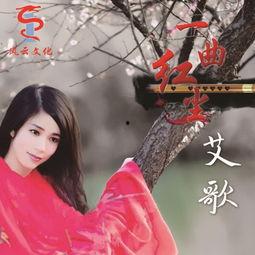 一曲红尘视频,穿越时光的深情演绎