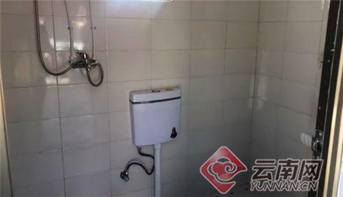 厕所里的视频,日常生活背后的惊人真相