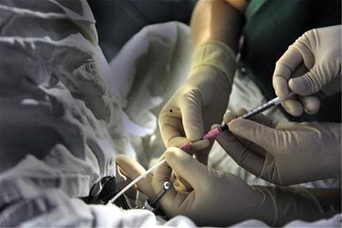 胚胎移植视频,从培育到移植的神奇之旅