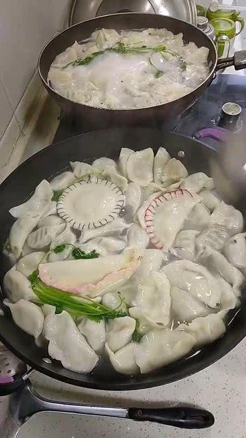 学做饺子视频,轻松学会制作美味饺子