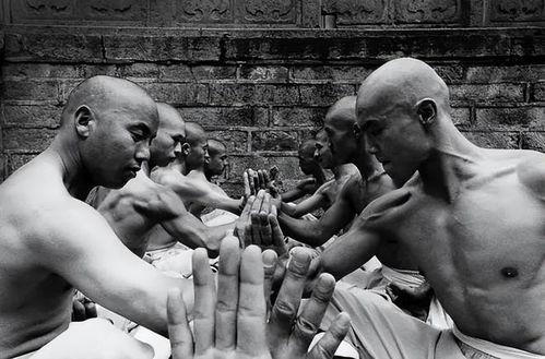 少林功夫视频,千年武术精髓的视觉盛宴