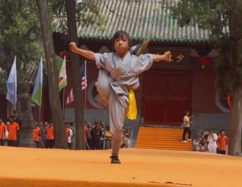 少林功夫视频,千年武术精髓的视觉盛宴