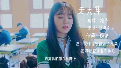 天涯歌曲视频,穿越时空的旋律之旅