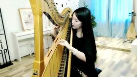 箜篌演奏视频