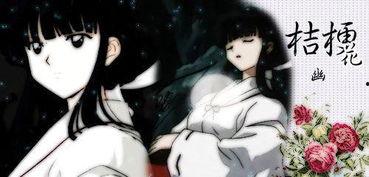 桔梗视频,探寻神秘植物的魅力与传说