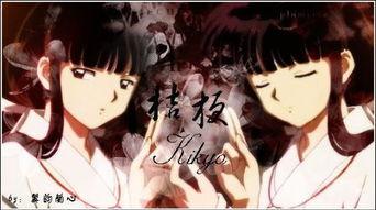 桔梗视频,探寻神秘植物的魅力与传说