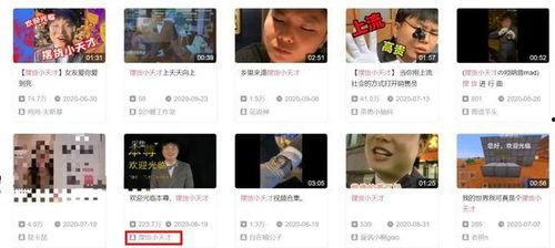 短视频抄袭,揭秘内容同质化背后的秘密