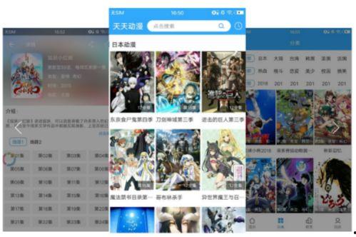 动漫视频播放器,畅享视听盛宴的完美伴侣