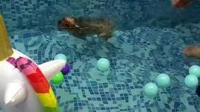 潜泳教学视频,掌握水下呼吸与技巧的入门指南