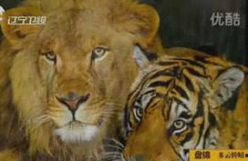 动物杂交视频,动物世界里的跨界传奇