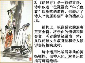 琵琶行教学视频,领略古典音乐魅力，探寻千年文化传承