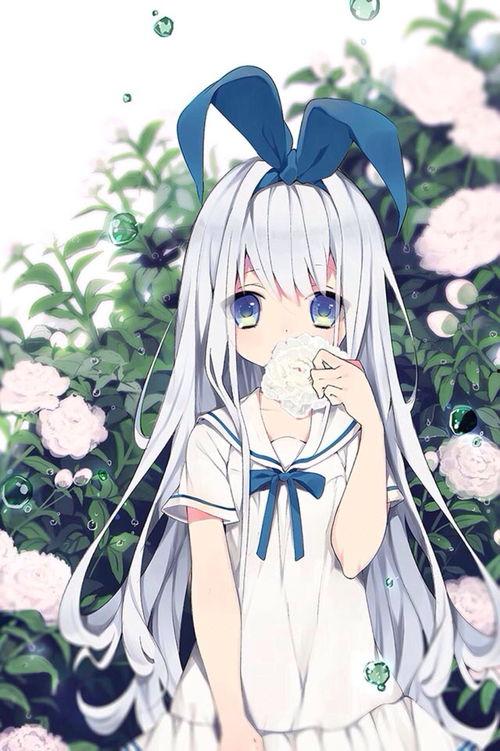 二次元动漫视频,一场视觉与情感的盛宴