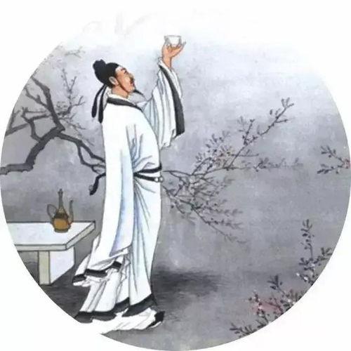 绝句视频,诗意瞬间，光影流转