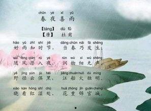 春夜喜雨视频,诗意盎然的雨夜奇观